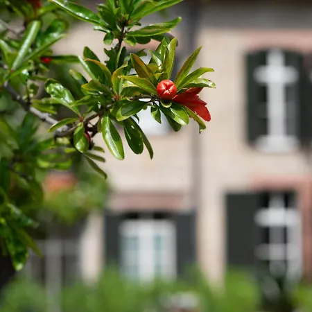 Rappis Apartman Imperia